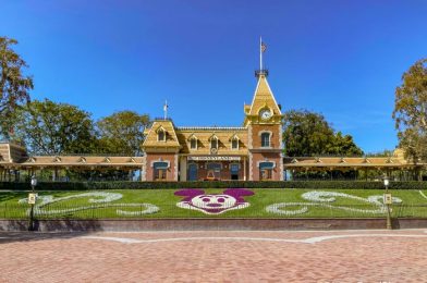 PHOTOS: Disneyland is Open, But a Classic Ride is Still Closed