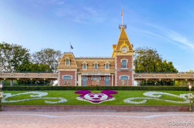 Can Out-of-State Guests Go to Disneyland? Here’s What We’re Seeing