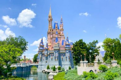 What’s New in Magic Kingdom: Weighted Plushes and a Restaurant EVACUATION!