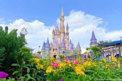 One BIG Sign That Disney World is Getting Closer to ‘Normal’