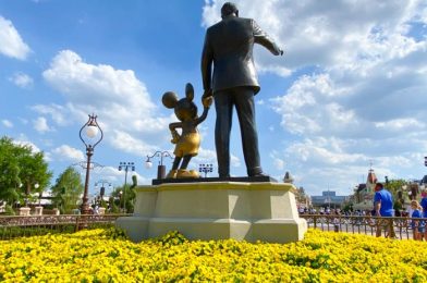 Were We Completely WRONG About Disney World?