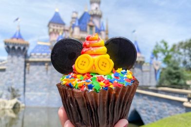 Disney World, Can You Make ALL Cupcakes This Beautiful?!