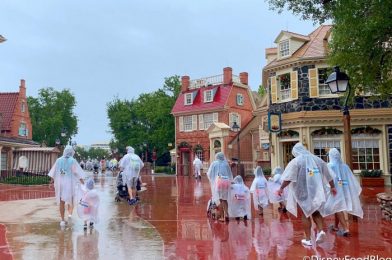Get Ready for the Rainy Season With This Umbrella Deal in Disney World!