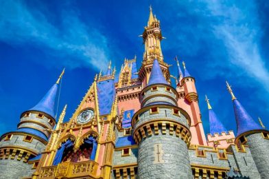 3 Small But Important Details You Missed From Disney World’s Latest News Drop