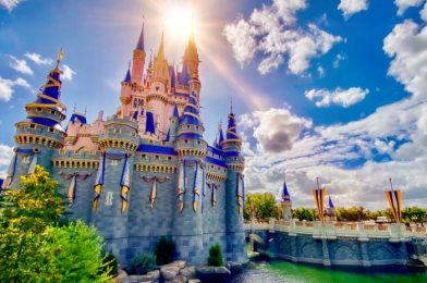 The Best Half Day Park in Disney World, According to YOU