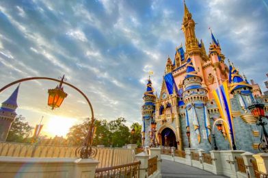 8 Times We Said “Nope, Not Today” in Disney World!
