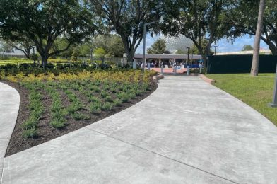 PHOTOS: Construction Fencing Finally Removed, New Pathway to Entrance of EPCOT Now Open