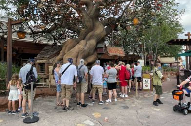 PHOTOS: Extended Queue Markers Removed From The Many Adventures of Winnie the Pooh at Magic Kingdom