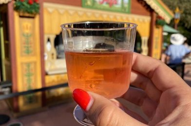 FIRST LOOK at Exclusive NEW Corkcicle for the 2021 EPCOT Food and Wine Festival