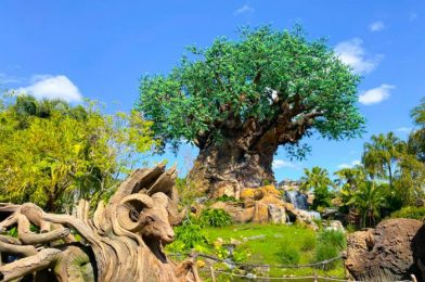 What’s New at Animal Kingdom: Another Power Outage and Popular Ears Return!