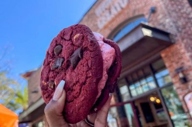 A NEW Cake Batter Cannoli Has Arrived in Disney World!