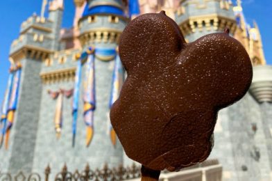 10,000 Readers Rate YOUR Favorite Disney World Snacks!