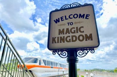 What’s New in Magic Kingdom: FastPass Kiosk CHANGES and Surprising Pins!