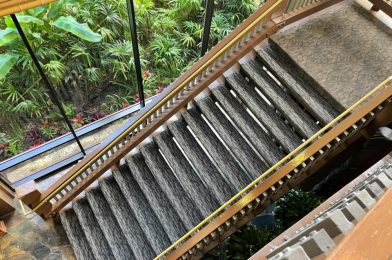 PHOTOS: Construction Moving Upward With New Stair Carpeting at Disney’s Polynesian Village Resort