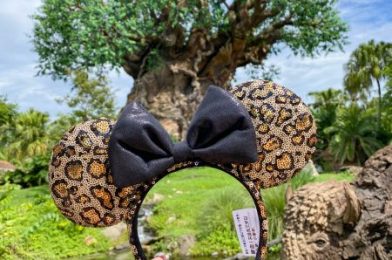 We Found the PERFECT Outfit for a Day at Disney’s Animal Kingdom!