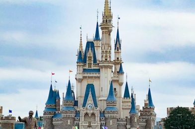 NEWS: Tokyo Disney Resort Extends Limited Park Hours and Alcohol Suspension