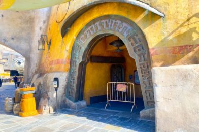 REVIEW: Is Oga’s Cantina Still THE Place to Be in Disneyland?