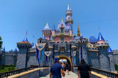 PHOTOS: Check Out The Special Treat For Disneyland’s 66th Anniversary!