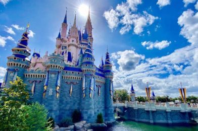 11 Important Disney World Announcements From the Past Month!