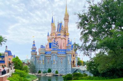 7 Things That Will Be Different in Disney World in July