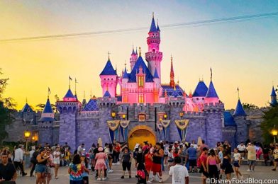 What’s New at Disneyland Resort: Fireworks Return, Hotel and Restaurants Reopen, and MORE!