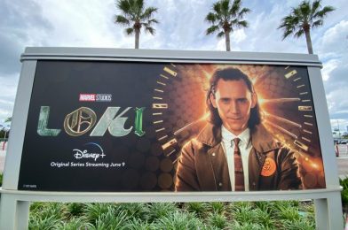 The Best ‘Loki’ Merchandise We Found on Amazon!