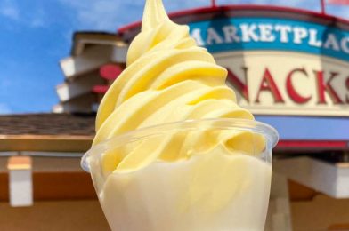Is This the Most Refreshing Dole Whip Swirl Combo in Disney World?