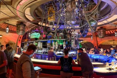 REVIEW: We’re Sippin’ on TWO Underrated Drinks at Oga’s Cantina in Disney World