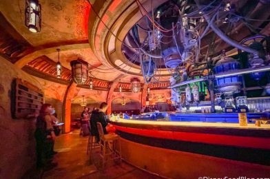 Comparing the Oga’s Cantina Charcuterie Boards in Disney World and Disneyland!