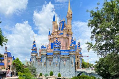 The 5 Best Things To Do In Disney World In July