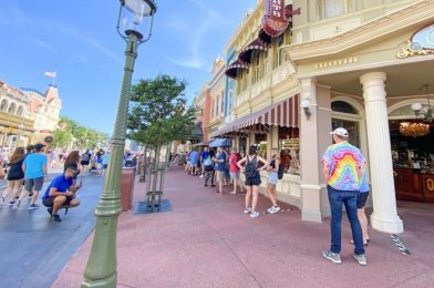 DFB Video: The Most Confusing Things About Disney World and Disneyland