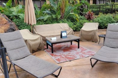 Disney’s Polynesian Village Resort Now Offering Rentable Seating Area at the Lava Pool