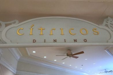 Reservations For Citricos in Disney World Are NOW OPEN!
