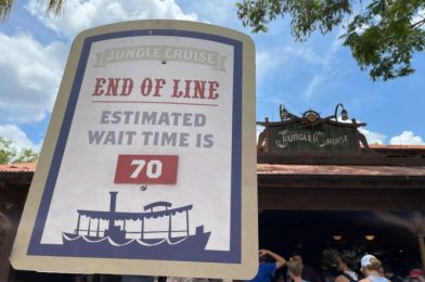 Are Single Rider Lines ACTUALLY Any Faster in Disney World?