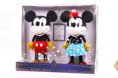 Select Disney Fans Can Get Early Access to Disney’s Newest Collectible!