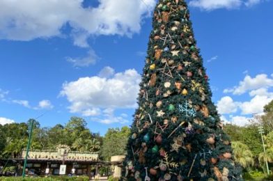 Why October 26th Matters If You’re Going to Disney World for Christmas Day