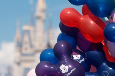 Walt Disney World Florida Resident Discount – Summer 2021