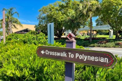 PHOTOS! Disney’s Polynesian Village Resort Has Officially Reopened!