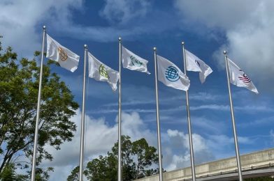 PHOTOS: Pavilion Flags Return to EPCOT Entrance