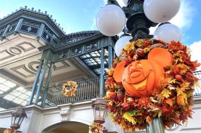 ALERT! Pumpkin Spice Mozart Is BACK in Disney World!