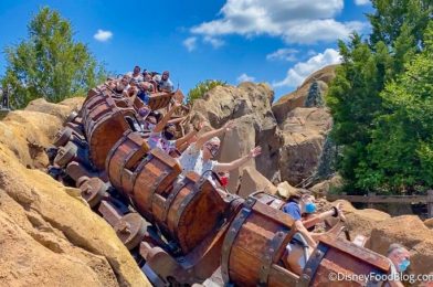 A FULL LIST of the Thrill Rides in Disney World!