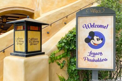 5 Details You MISSED About Disneyland’s Magic Key Pass
