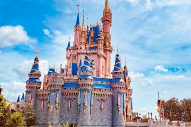 What’s New in Magic Kingdom: A Disney Princess Collection in High Demand and More Halloween Items
