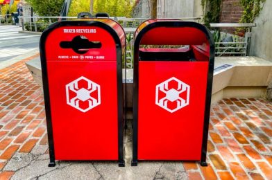 Are These the BEST Trash Cans in Disney World? You Tell Us!