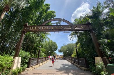 What’s New at Disney’s Animal Kingdom: A Shockingly Short Wait Time and Progress on an Upcoming Show