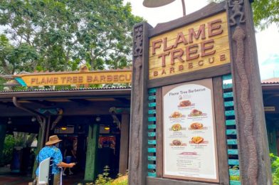 Review: Disney World’s New Treat is a Little Confusing!