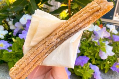 PLEASE Let This Be a Sign That Churro Toffee Will Eventually Come to Disney World