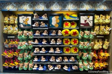 Stricter LIMIT Placed on Merchandise Purchases in Disney World