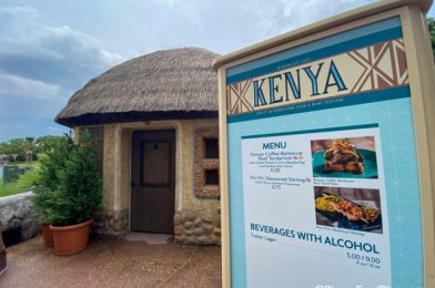 REVIEW: The Sides are the STARS of the EPCOT Food and Wine Festival’s Kenya Booth!