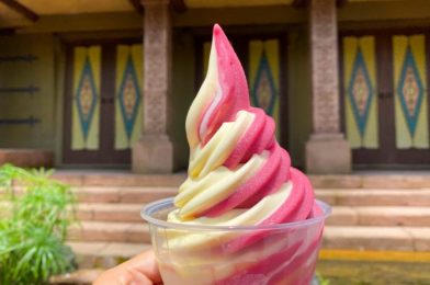 REVIEW: Animal Kingdom Just Ended the Cupcake Drought in Disney World